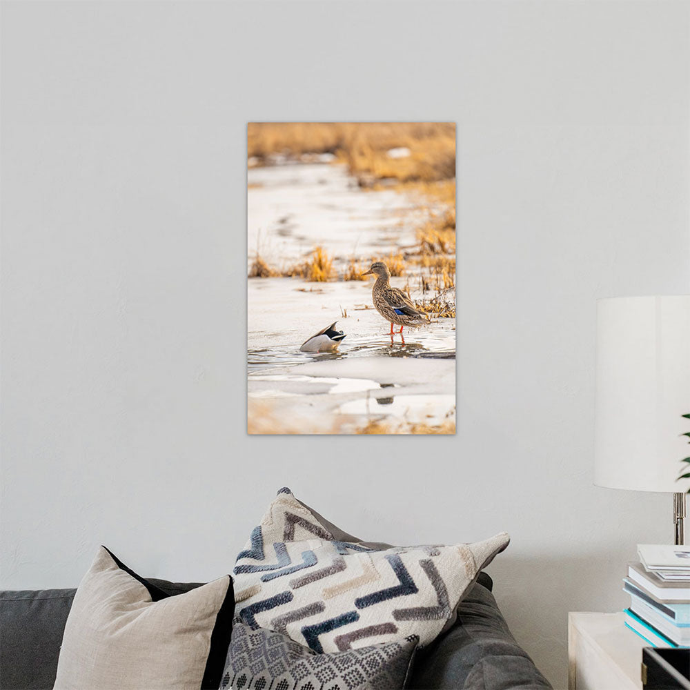 Kelly Palma - The Lookout