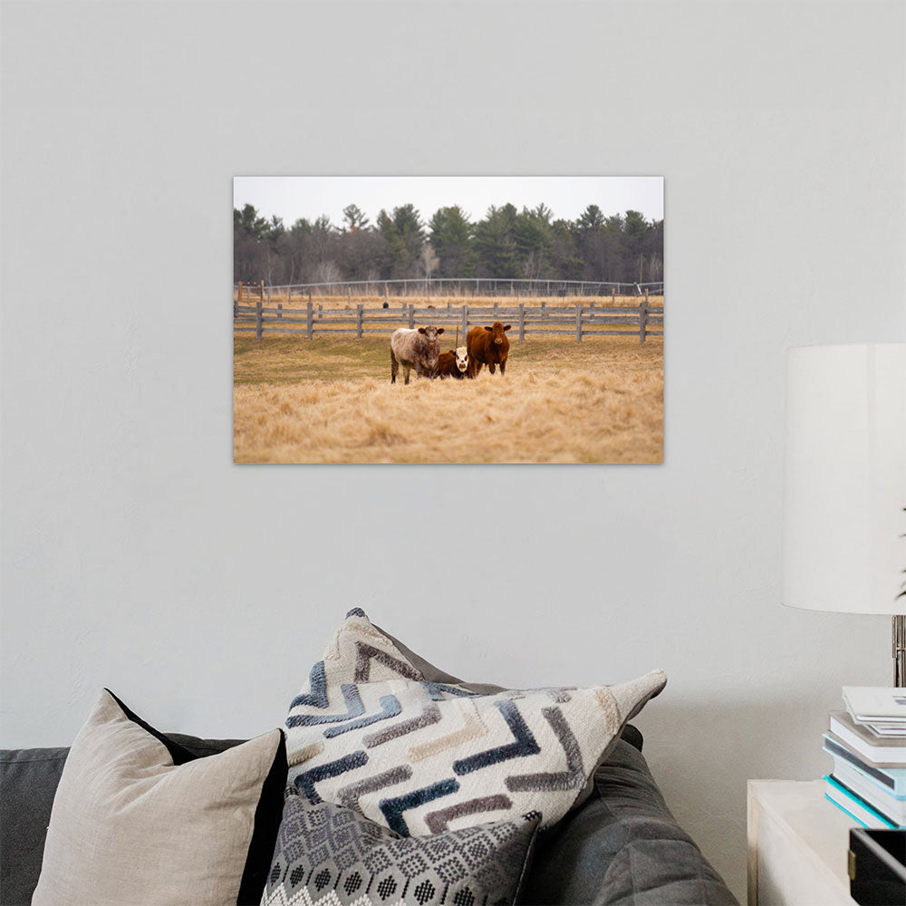 Kelly Palma - Staredown