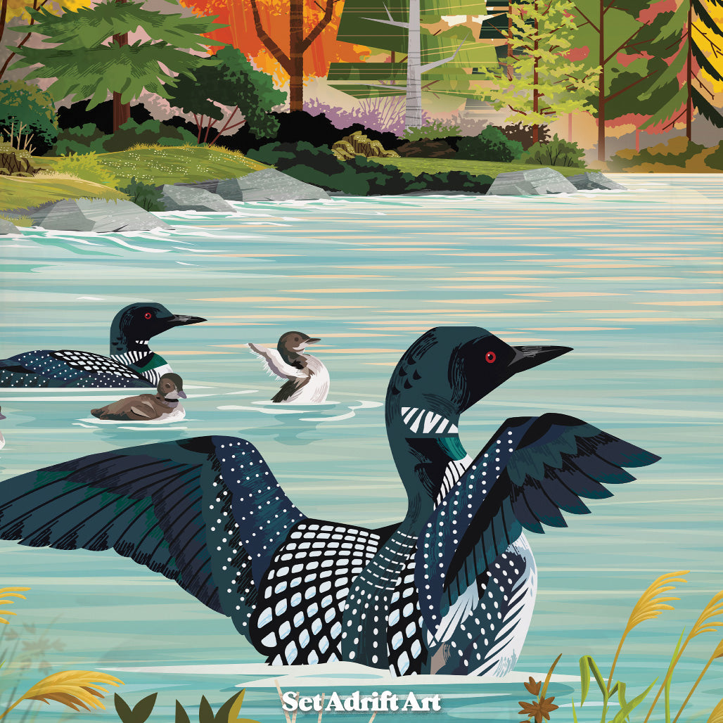 Loons on the Lake